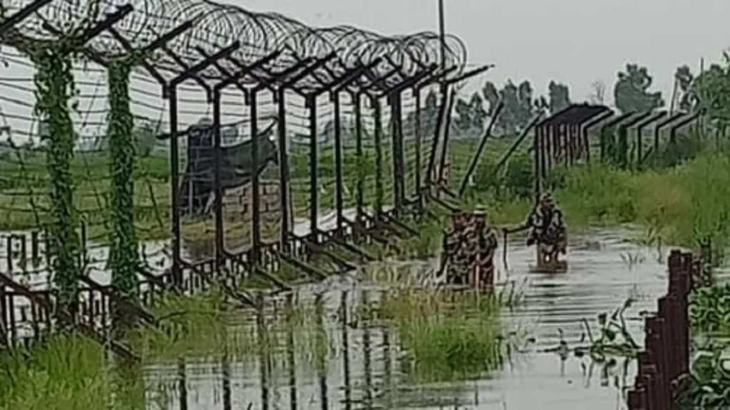 BSF